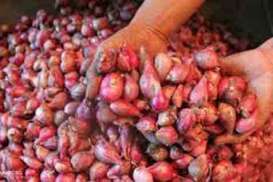 Harga Komoditas: Bawang Merah dan Bawang Putih Alami Kenaikan